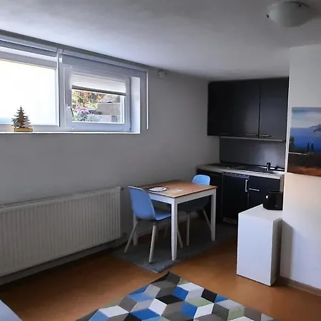 Naehe Stadtmitte Friedrichshafen